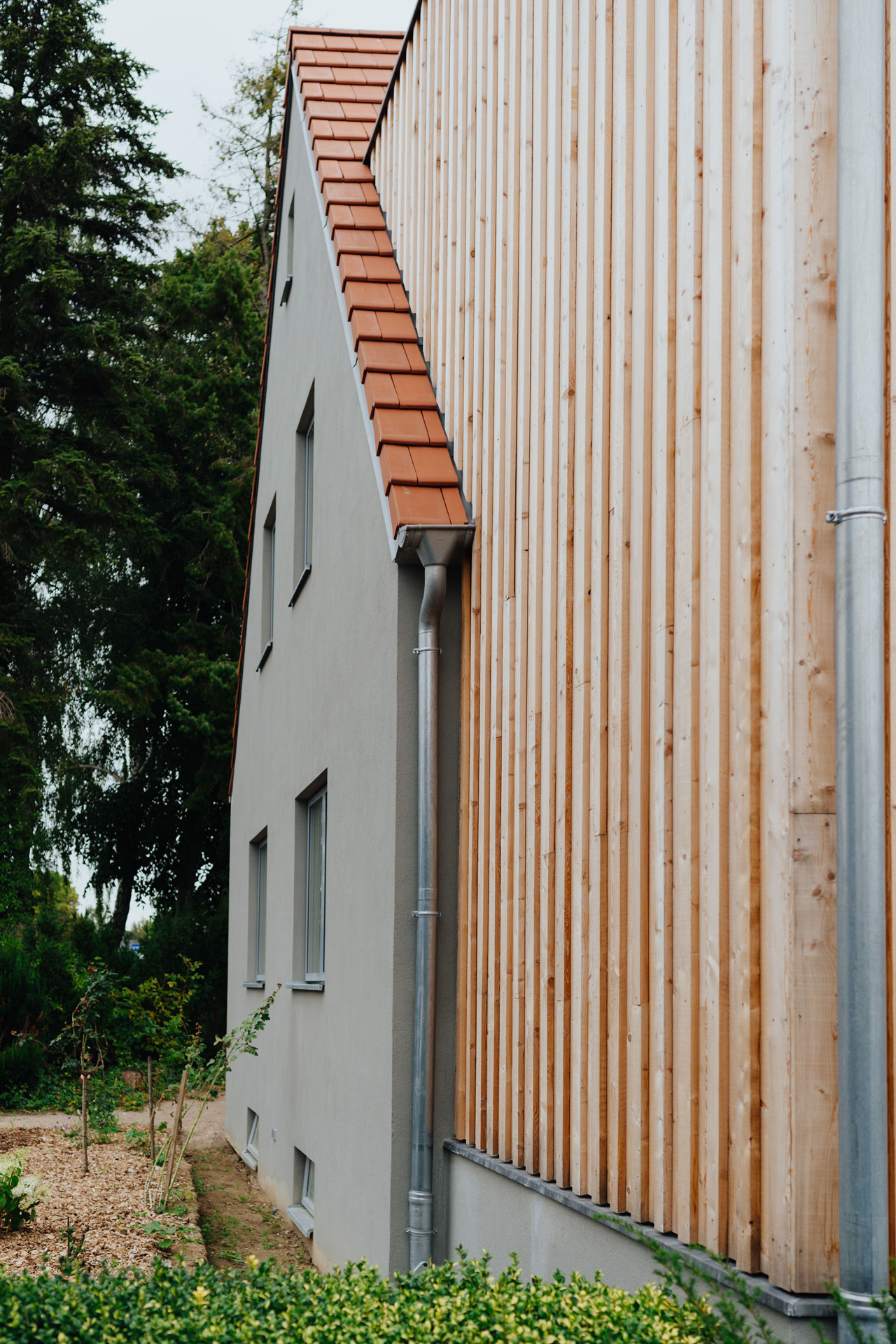 Die grau verputzte Fassade des Einfamilienhauses kontrastiert zum hellen Holz des Anbaus.