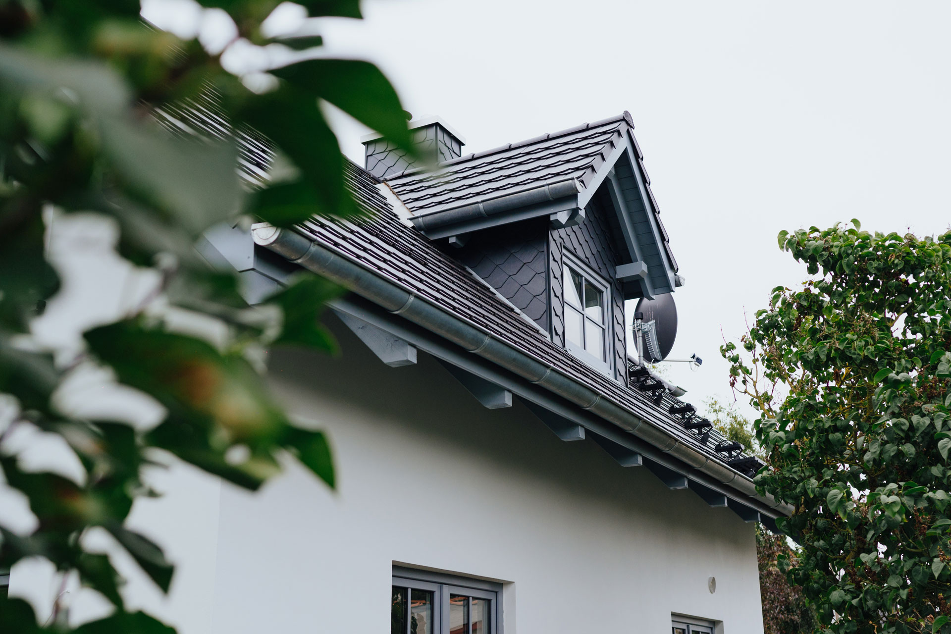 Ein Dachfenster wird vom Blattwerk einer Baumkrone leicht verdeckt.